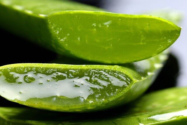 8 DIY Alternatives for Beauty Products to Try ASAP Aloe Vera